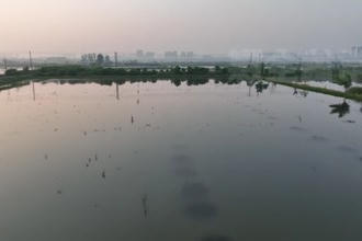 澧县澧南镇：