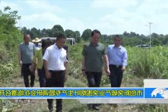 市创新突破产业突围烟叶生产专题调研会在临澧召开