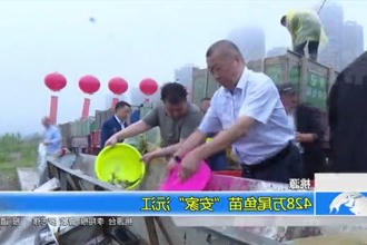 桃源：428万尾鱼苗
