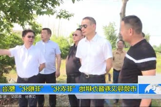 市领导汉寿督办耕地
