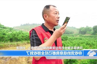 汉寿：黄桃脆又甜 线上线下