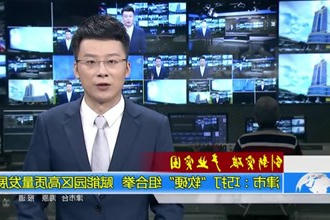 津市：巧打
