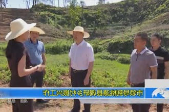 市领导到桃源县调研乡村振兴工作