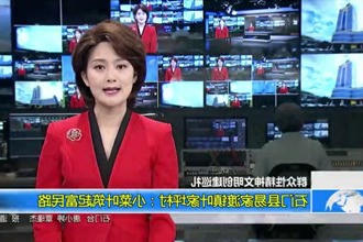 石门县易家渡镇叶家坪村：小菜叶筑起富民路