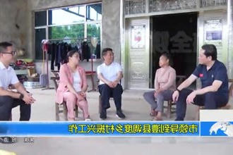 市领导到澧县调度乡村振兴工作