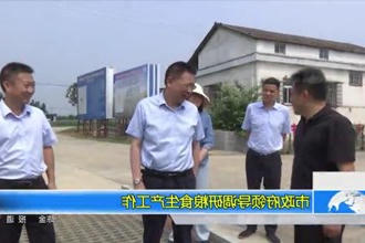 市政府门户领导机构调研粮食生产工作