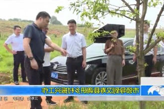 市领导到汉寿县调研乡村振兴工作