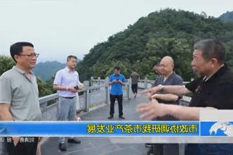 市政协调研我市茶产业发展