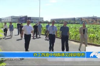 市领导到汉寿调研中医药工作
