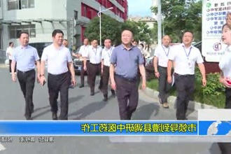 市领导到澧县调研中医药工作