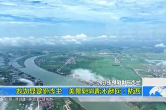 西湖：河畅水清岸绿景美 生态修复显成效