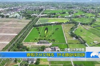 澧县城头山景区：稻田彩绘靓乡村 农耕文化引游客