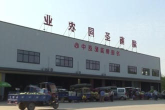 汉寿：蔬菜住进
