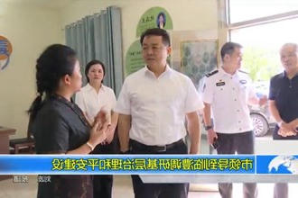 市领导到临澧调研基层治理和平安建设
