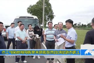 上海市规划和自然资源局来常调研耕地保护工作