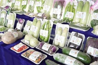 常德市水稻夏收夏种机收减损现场观摩暨粮食工作会议召开
