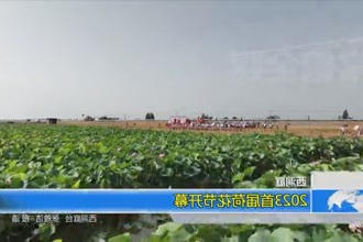 西洞庭：2023首届荷花节开幕