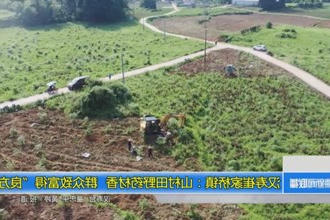汉寿崔家桥镇：山村田野药材香 群众致富得