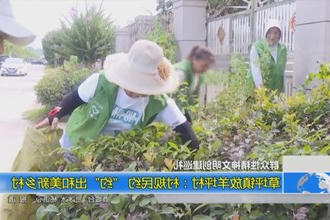 草坪镇放羊坪村：村规民约 