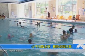夏日游泳消暑 安全谨记于心