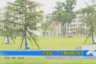 汉寿：绿化植被喝上了