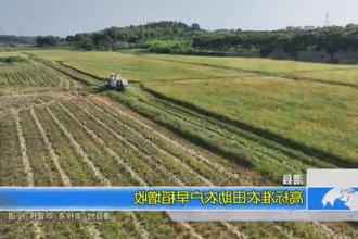 澧县：高标准农田助农户早稻增收