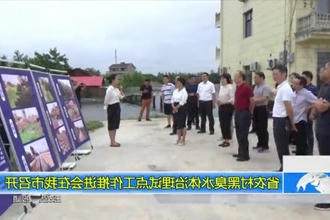 省农村黑臭水体治理试点工作推进会在我市召开