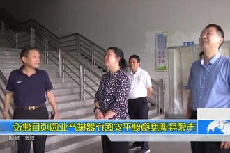 市领导调度稳健平安医疗器械产业园项目建设