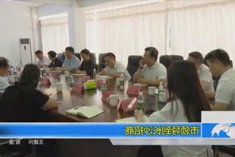 市领导到长沙招商