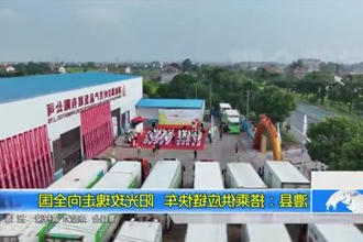 澧县：搭乘供应链快车 阳光玫瑰走向全国