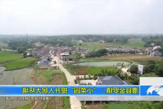 澧县金罗镇：