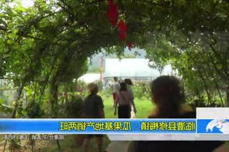 临澧县修梅镇：瓜果基地产销两旺