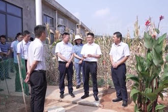 曹志强带队调研督导乡村振兴和粮食生产工作