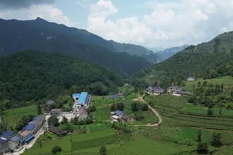石门壶瓶山镇：绿色转型 茶叶