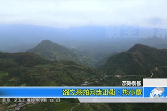 道德模范 覃小洪：退伍老兵的茶之路