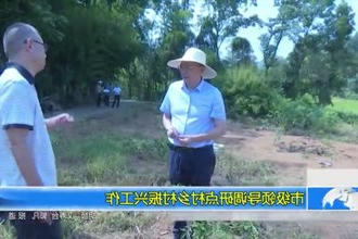 市级领导调研点村乡村振兴工作