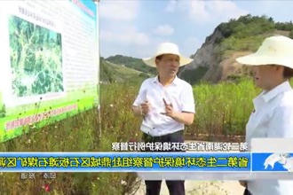 省第二生态环境保护督察组赴鼎城区石板滩石煤矿区调研