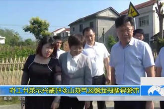 市领导调研武陵区芦荻山乡村振兴示范片工作