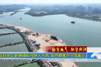 沙滩音乐节激情开唱 两万人柳叶湖畔畅享文旅狂欢