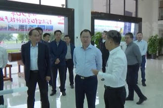 周振宇到桃源调研经济社会发展