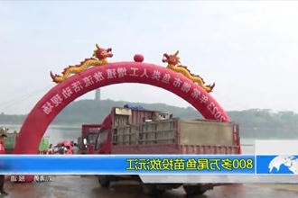 800多万尾鱼苗投放沅江