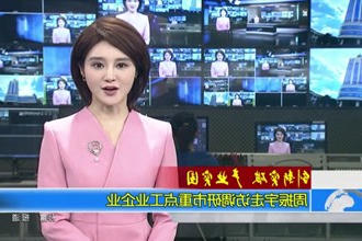 周振宇走访调研市重点工业企业
