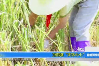 武陵：