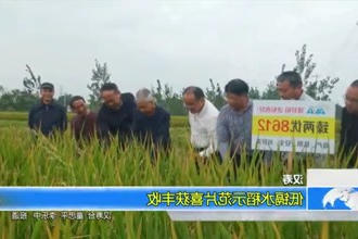 汉寿：低镉水稻示范片喜获丰收
