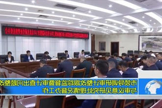 市领导调研审计整改跟踪监督暨审计查出问题整改与审议意见研究处理情况督办工作
