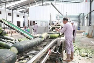 汉寿：果蔬粗加工 延长产业链