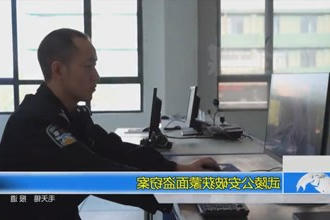 武陵公安破获蒙面盗窃案