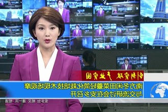 南方冬闲田菜薹轻简化栽培技术现场观摩与交流研讨会在安乡召开