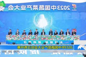 2023年中国蔬菜产业大会在汉寿开幕