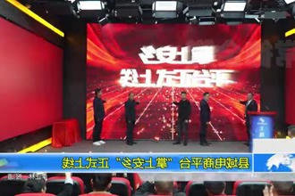县域电商平台